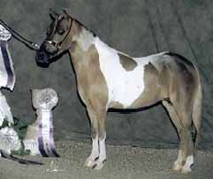 Valley Rose Ranch Petite Princess