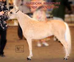 WeeOkie's WG Yso Early Too