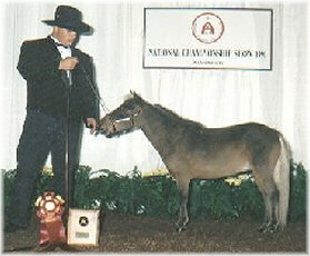 Our First Mini, Little America's Howdy Doody